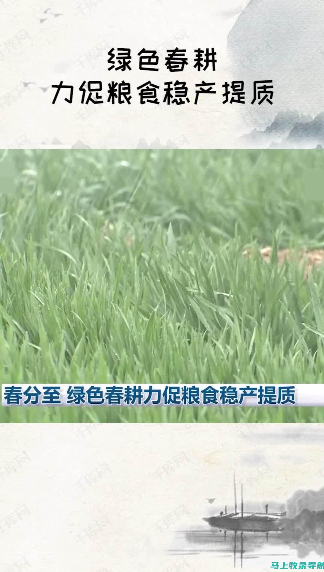 耕耘绿色事业，助力生态建设——乡镇林业站站长工作总结