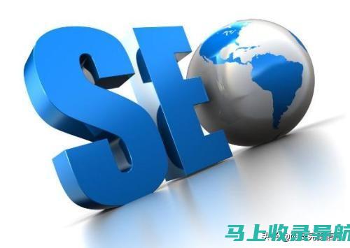 探索搜索引擎优化（SEO）的奥秘与重要性